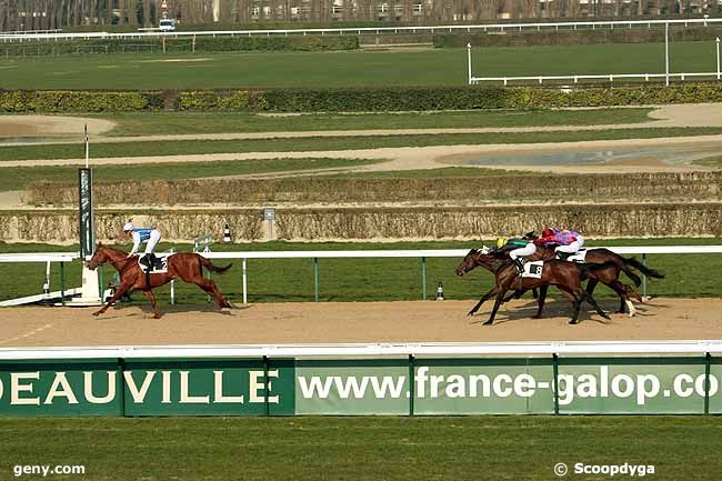 04/03/2011 - Deauville - Prix de Meydan : Arrivée