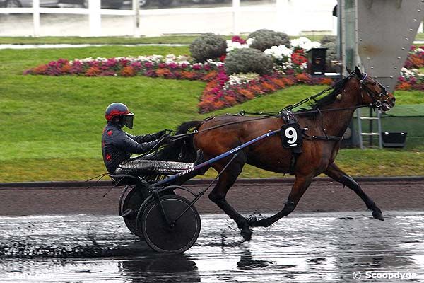 14/02/2013 - Vincennes - Prix de Gannat : Arrivée