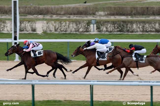 01/03/2013 - Deauville - Prix d'Alderney : Arrivée