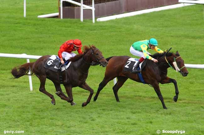 17/10/2013 - Fontainebleau - Prix des Conifères : Arrivée