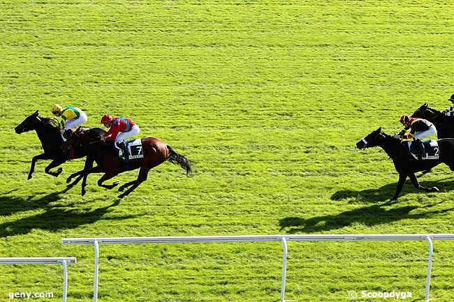 30/10/2013 - Maisons-Laffitte - Prix le Pacha : Ankunft