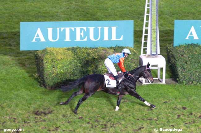 17/11/2013 - Auteuil - Prix Bernard de Dufau : Arrivée