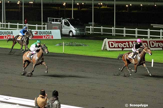 29/11/2013 - Vincennes - Prix Vibilia : Arrivée