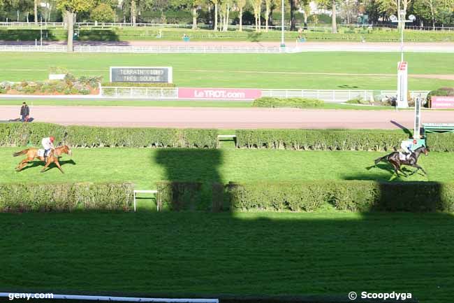 12/11/2014 - Enghien - Prix de Nogent : Ankunft