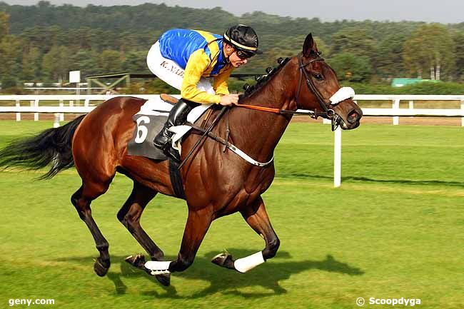 20/10/2015 - Fontainebleau - Prix d'Ury : Arrivée