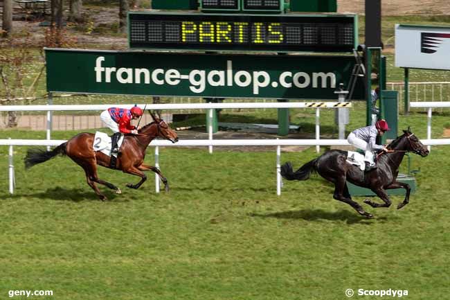 28/03/2016 - Saint-Cloud - Prix Nasrullah : Arrivée