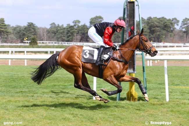 06/04/2016 - Fontainebleau - Prix Quazvin II : Result