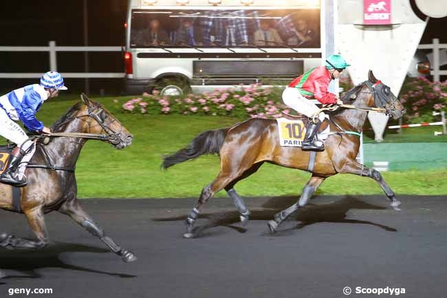 24/05/2016 - Vincennes - Prix Klytaemnestre : Arrivée