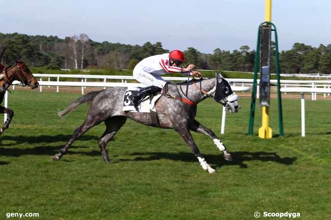 14/03/2017 - Fontainebleau - Prix de Montigny-sur-Loing : Arrivée