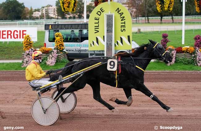 06/11/2019 - Nantes - Prix Oniris Nantes - Grand Prix des 5 ans : Result