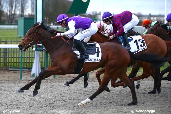 10/03/2020 - Chantilly - Prix Esso : Arrivée