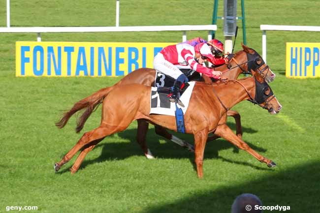 12/11/2020 - Fontainebleau - Prix de la Cour des Adieux : Arrivée