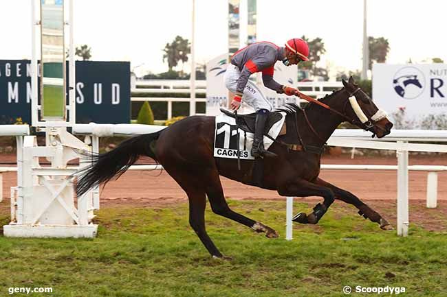 21/12/2021 - Cagnes-sur-Mer - Prix de l'Observatoire : Arrivée