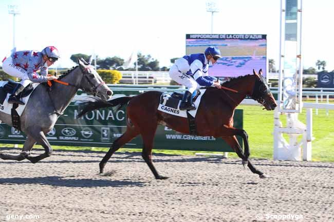 01/02/2022 - Cagnes-sur-Mer - Prix de la Marjolaine : Arrivée