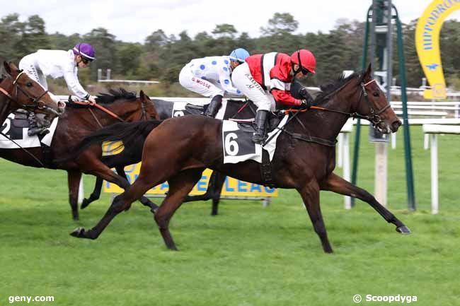 15/10/2022 - Fontainebleau - Prix des Acacias : Arrivée