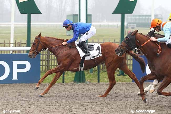 11/02/2023 - Chantilly - Prix de Chauvry : Arrivée