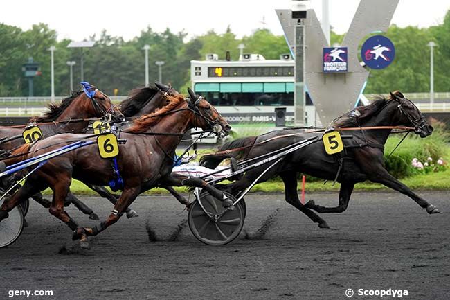 28/05/2024 - Vincennes - Prix Kalmia : Arrivée