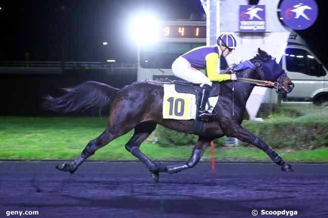 15/11/2024 - Vincennes - Prix Ohio : Arrivée