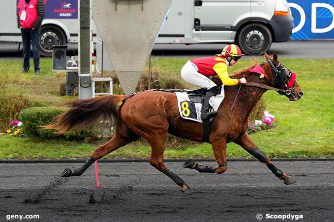 26/01/2025 - Vincennes - Prix Tidalium Pélo : Arrivée