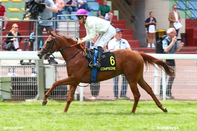 27/06/2025 - Compiègne - Prix Palomelle : Arrivée
