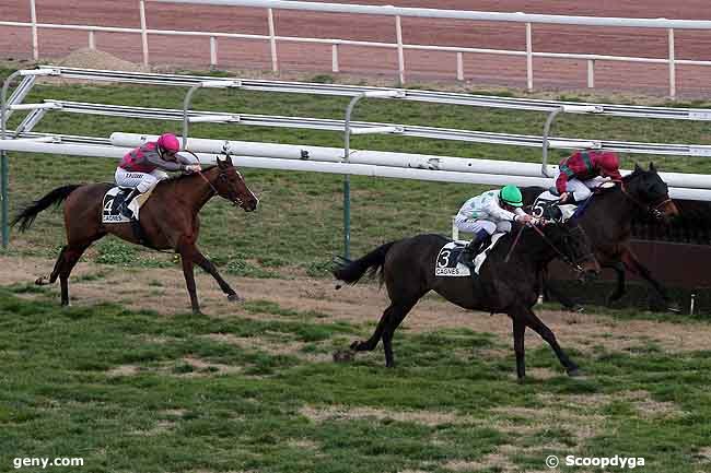 14/02/2009 - Cagnes-sur-Mer - Prix de Maisons-Laffitte : Result