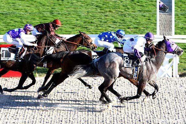 19/02/2011 - Cagnes-sur-Mer - Prix de la Fontonne : Arrivée