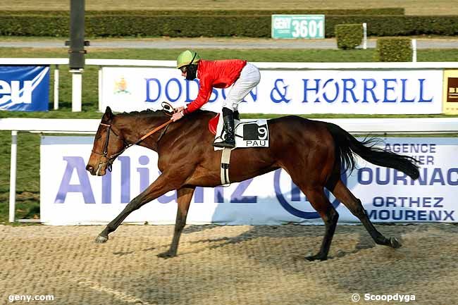 03/02/2012 - Pau - Prix de Lamolère : Arrivée