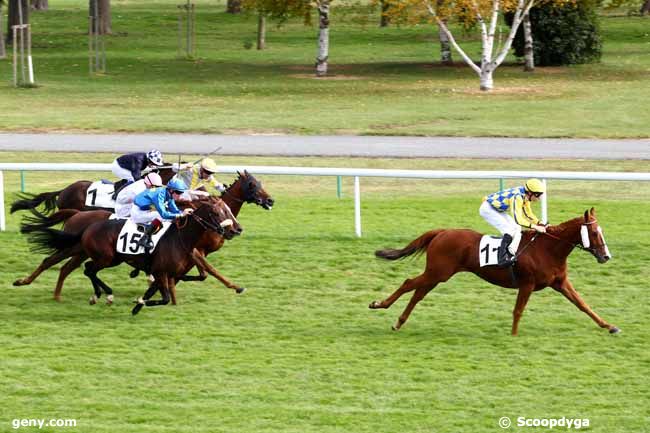 01/10/2012 - Maisons-Laffitte - Prix d'Aincourt : Arrivée