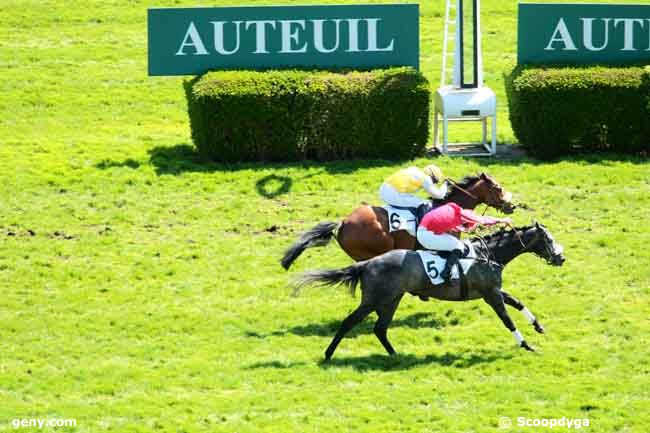 24/04/2013 - Auteuil - Prix La Veine : Arrivée