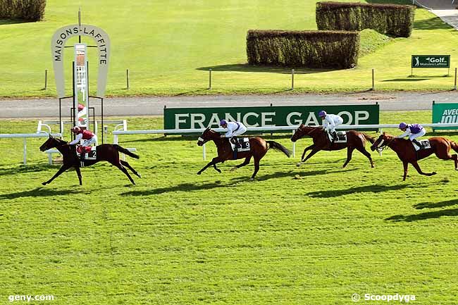 30/10/2013 - Maisons-Laffitte - Prix Fast Fox : Arrivée