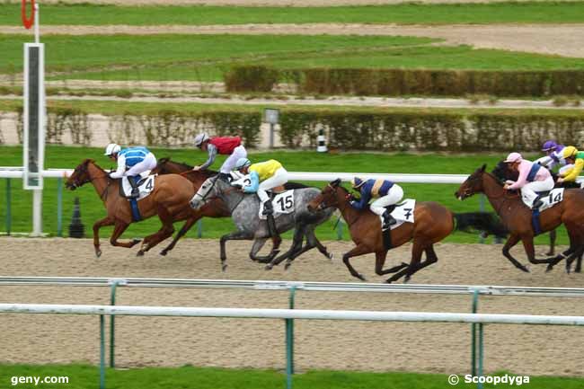 03/01/2016 - Deauville - Prix de la Gelinière : Ankunft