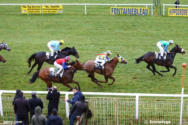 31/03/2016 - Fontainebleau - Prix du Conseil Municipal de Fontainebleau : Arrivée