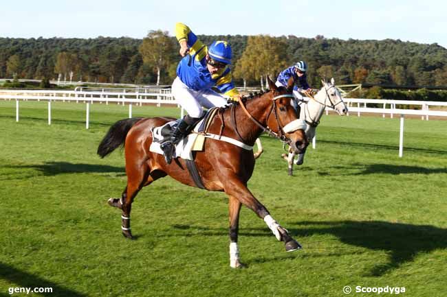 03/11/2016 - Fontainebleau - Prix du Baron Geoffroy de Waldner : Arrivée