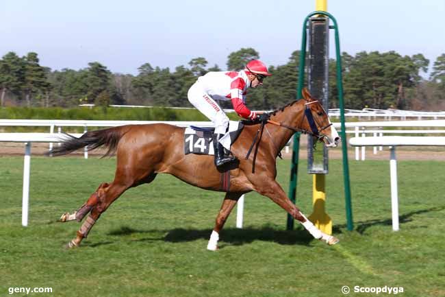 14/03/2017 - Fontainebleau - Prix du Conseil Municipal de Dammarie-les-Lys : Arrivée