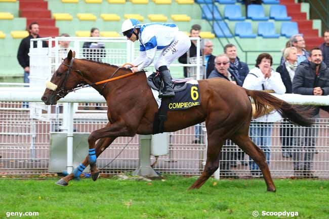 24/10/2017 - Compiègne - Prix de la Brevière : Arrivée