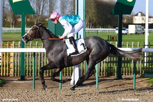 13/11/2017 - Chantilly - Prix de la Croix Saint-Rieul : Arrivée