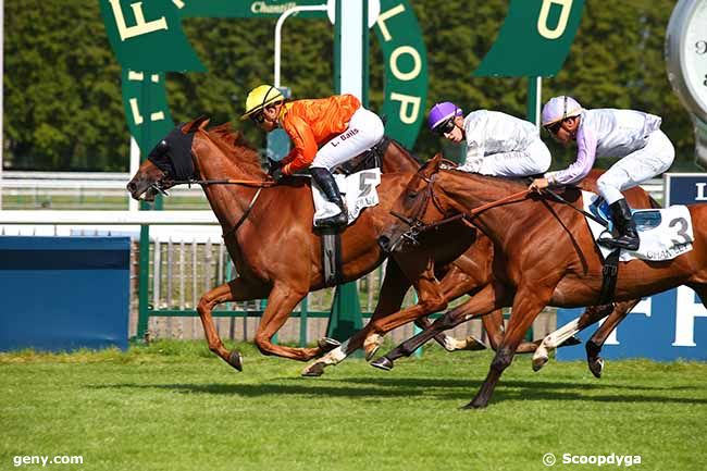 31/08/2019 - Chantilly - Prix du Jardin Anglo-Chinois : Ankunft