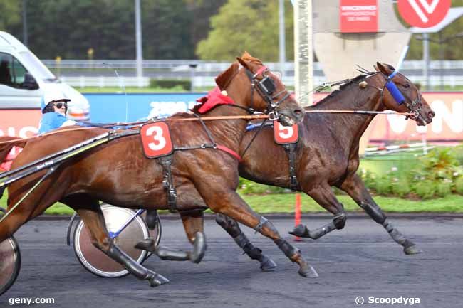 08/10/2019 - Vincennes - Prix Kolga : Ankunft