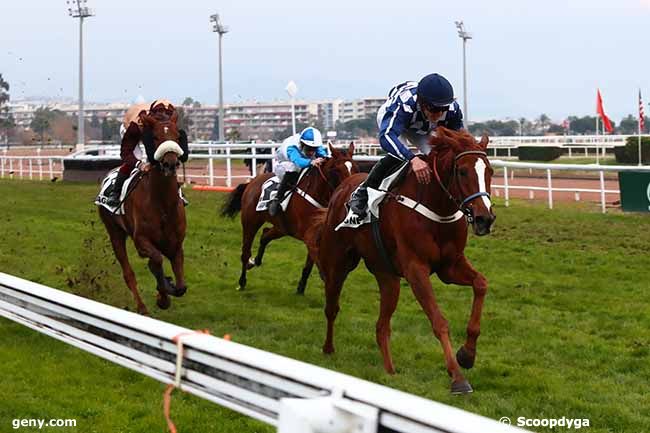 21/12/2021 - Cagnes-sur-Mer - Prix de Cardiff : Arrivée