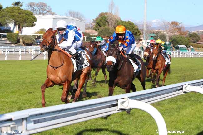 01/02/2022 - Cagnes-sur-Mer - Prix de Cogolin : Arrivée