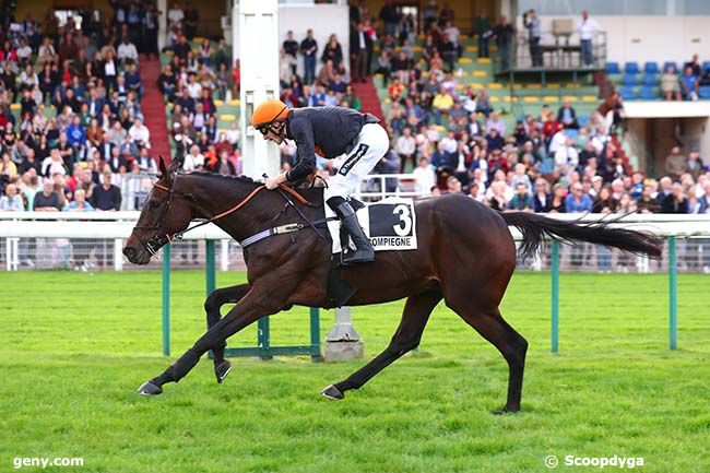 29/10/2022 - Compiègne - Grand Steeple-Chase de Compiègne : Arrivée