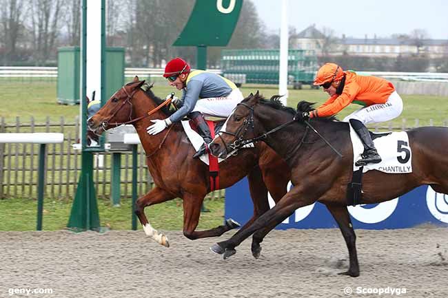 11/02/2023 - Chantilly - Prix de Lassy : Arrivée