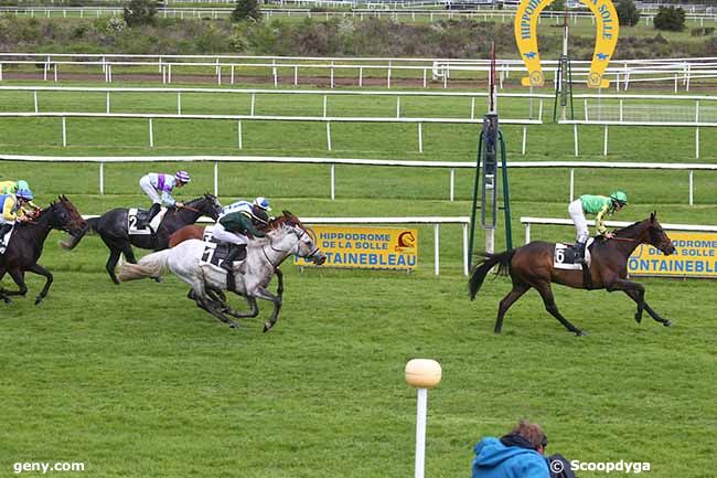 10/05/2023 - Fontainebleau - Prix de la Plâtrière d'Apremont : Arrivée