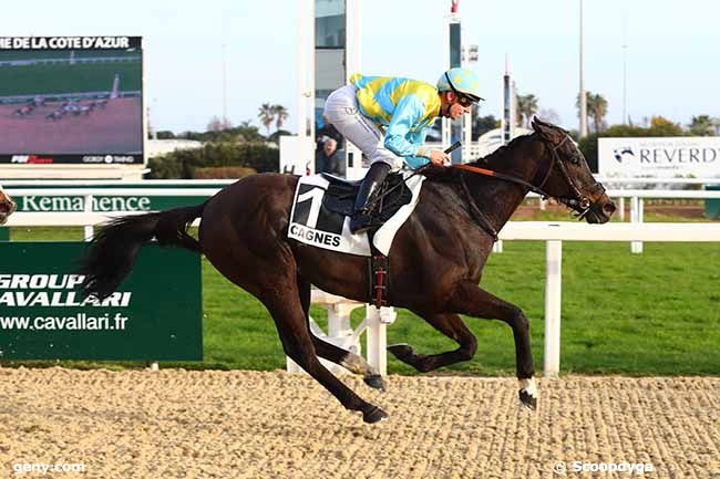 21/02/2024 - Cagnes-sur-Mer - Prix de Sainte-Maxime : Arrivée