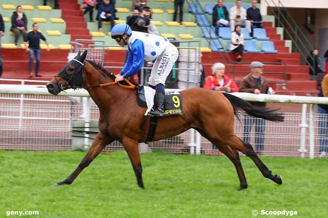 25/09/2024 - Compiègne - Prix de Choisy au Bac : Arrivée