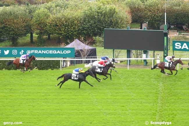 27/10/2024 - Saint-Cloud - Prix de l'Elevage : Arrivée