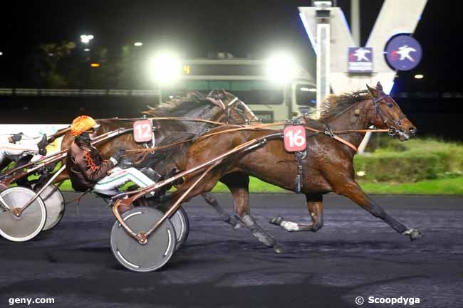 15/11/2024 - Vincennes - Prix Dike : Arrivée