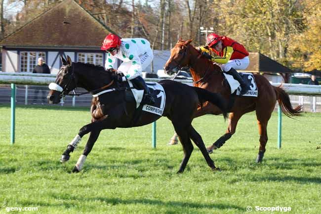 29/11/2024 - Compiègne - Prix Roger de Minvielle : Arrivée