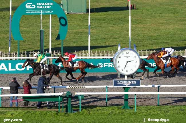 26/12/2024 - Chantilly - Prix du Terrain de Manoeuvre : Arrivée