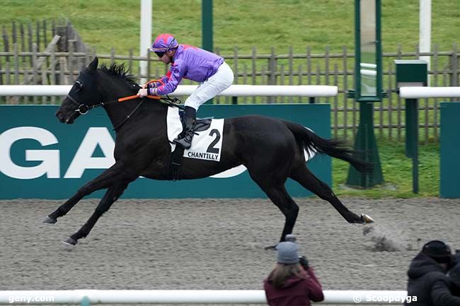 30/12/2024 - Chantilly - Prix de la Piste Sea Bird : Arrivée